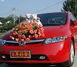 Red Civic Team